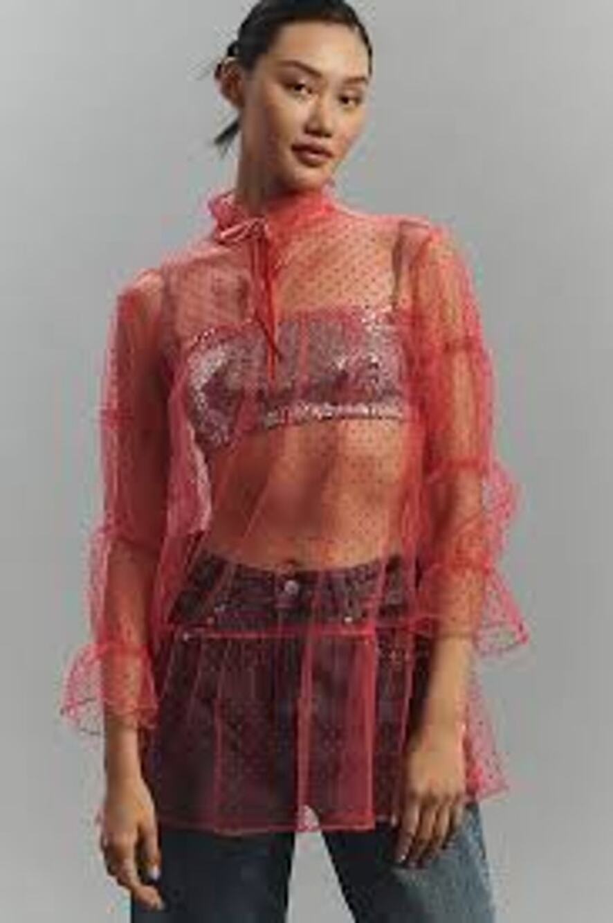 Maeve Anthropologie Sheer Tulle Tunic Top NWT